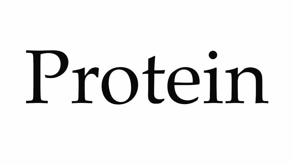 
Protein là thành phần cấu tạo của sự sống và mọi tế bào sống đều sử dụng chúng với cả mục đích cấu trúc và chức năng
