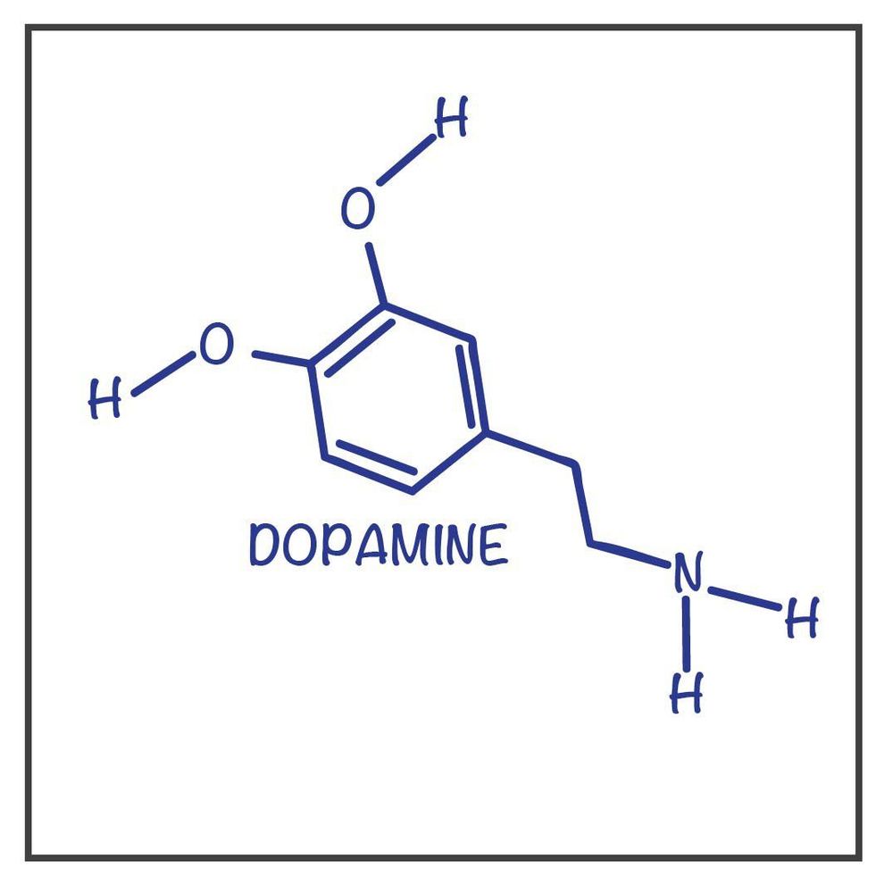 
Dopamine là thuốc được sử dụng phổ biến trong điều trị sốc nhiễm trùng
