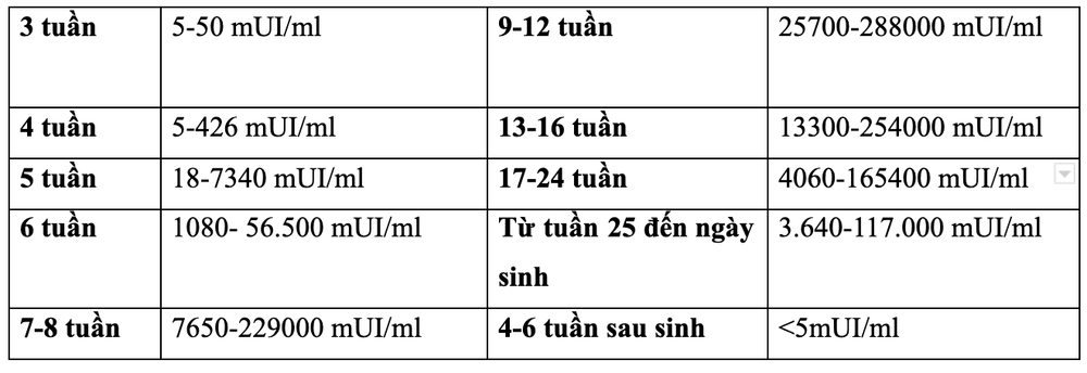 hCG Levels During Pregnancy
