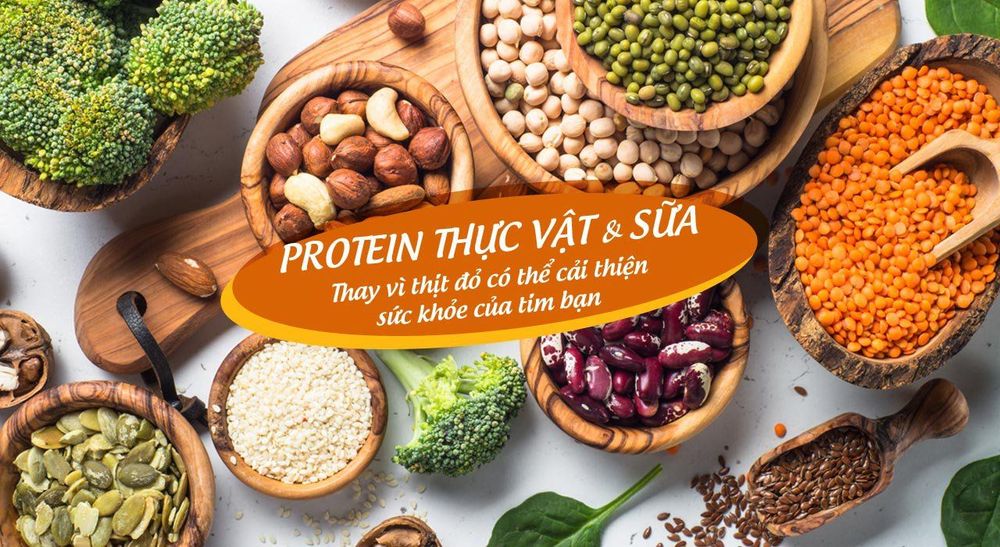 
Chế độ ăn giàu protein thực vật có thể góp phần làm giảm được nồng độ cholesterol trong máu cao
