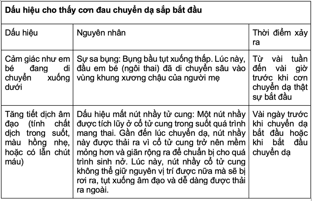 Điều gì xảy ra khi cơn chuyển dạ bắt đầu?