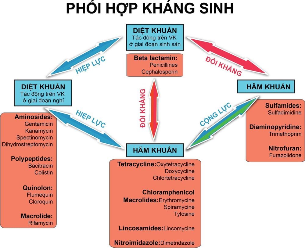 
Sự phối hợp kháng sinh là nhằm mục đích nâng cao hiệu quả điều trị
