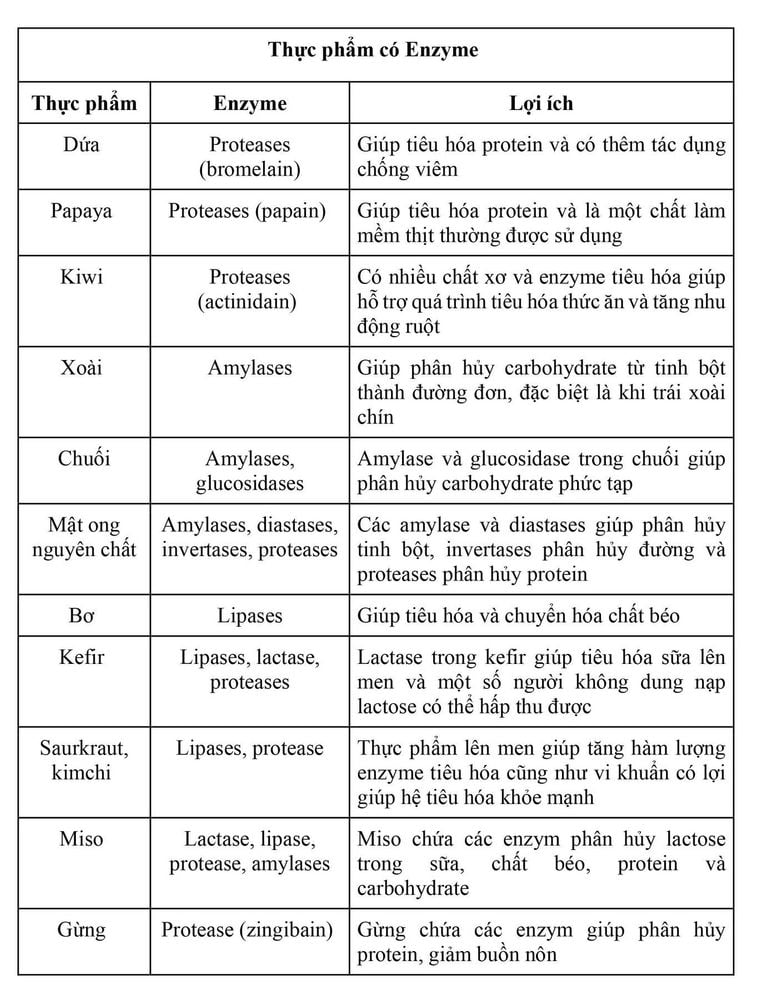 Classification and role of enzymes in food digestion