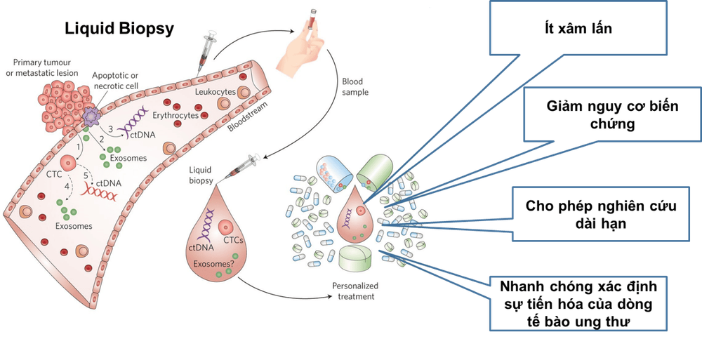 
Hình 1: Mẫu sinh thiết lỏng (Nguồn ảnh: https://www.massivegenomics.co.ke/pancancer.html)
