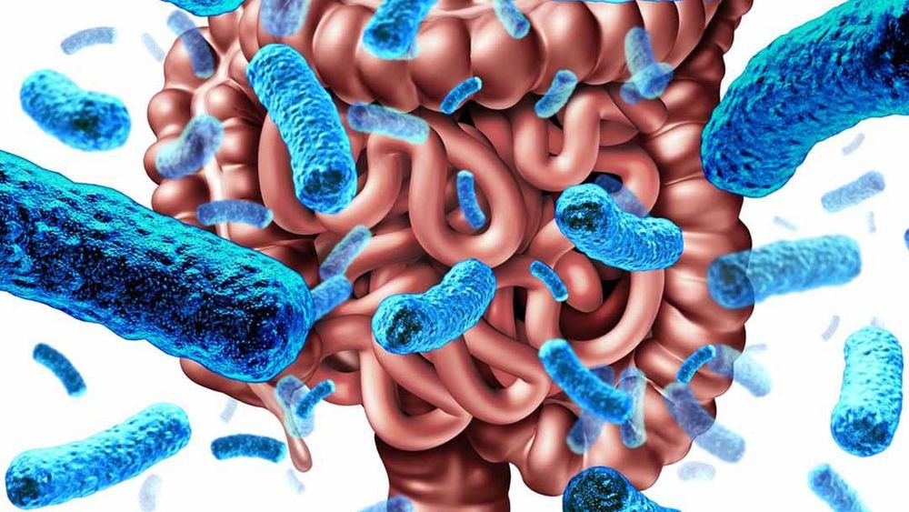 
Hội chứng serotonin chính là một phản ứng của ngộ độc thuốc do serotonin tích tụ quá nhiều trong cơ thể
