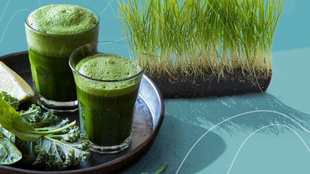 
Wheatgrass là mầm non của cây lúa mì và có nguồn dưỡng chất dồi dào
