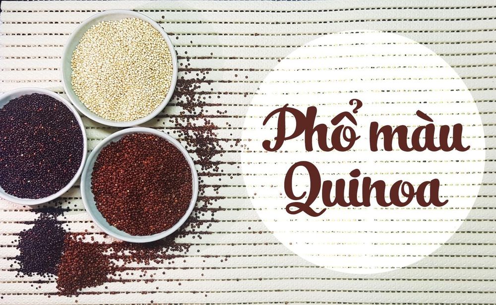 
3 loại hạt quinoa được trồng phổ biến nhất là đỏ, đen và trắng
