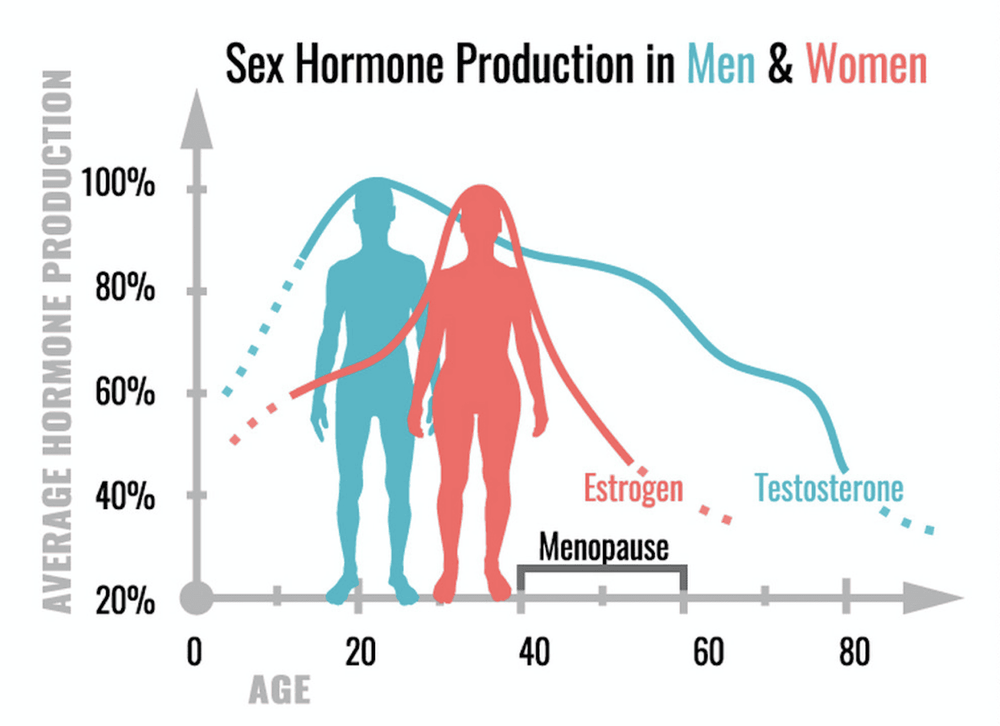 
Nếu estrogen cao hơn mức testosterone thì sẽ khiến vú phát triển và trở nên to hơn, dễ nhận thấy hơn.
