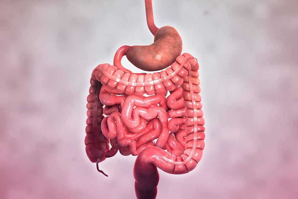 
Người mắc bệnh crohn dạ dày và tá tràng thường không có triệu chứng
