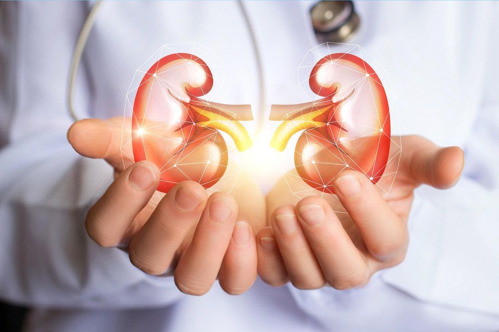 Quả chanh có công dụng ngăn ngừa sỏi thận, hỗ trợ sức khỏe tim mạch,...