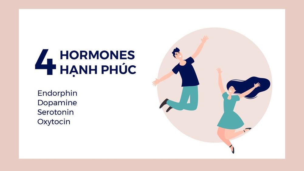 
Các hormone hạnh phúc bao gồm dopamine, serotoni, oxytocin và endorphin.
