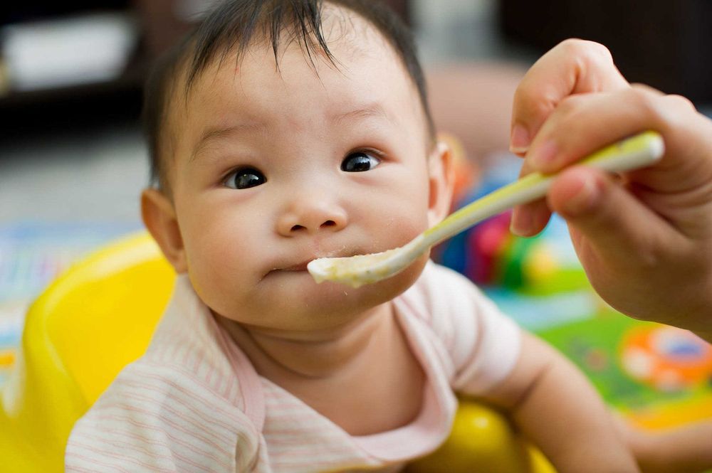 Cháo trứng cho bé 6 tháng đem lại những lợi ích tuyệt vời