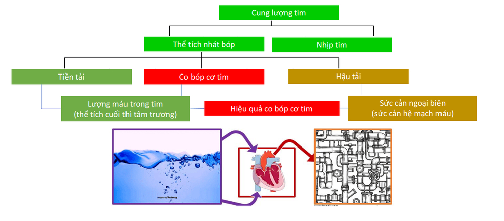 Applications of PiCCO technique in the treatment of Shock