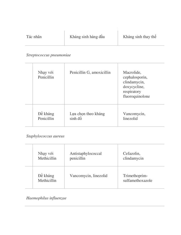 Group of antibiotics for the treatment of lower respiratory tract infections