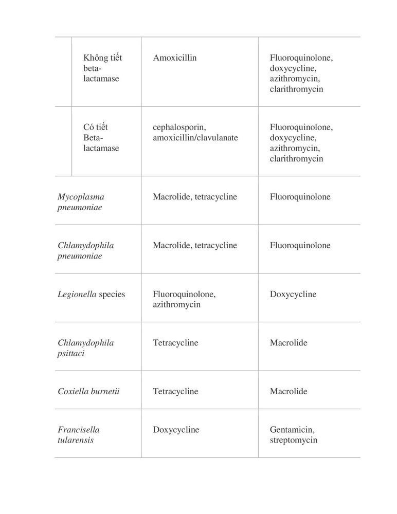 Group of antibiotics for the treatment of lower respiratory tract infections