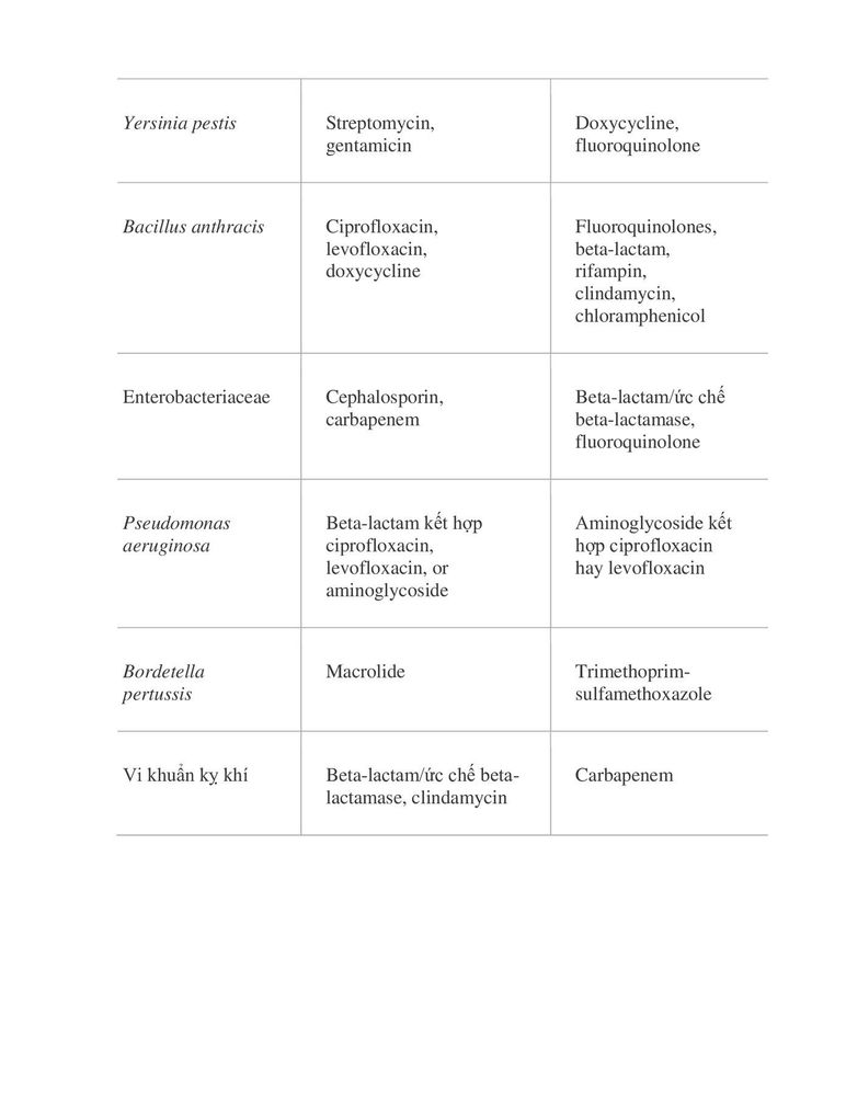 Group of antibiotics for the treatment of lower respiratory tract infections