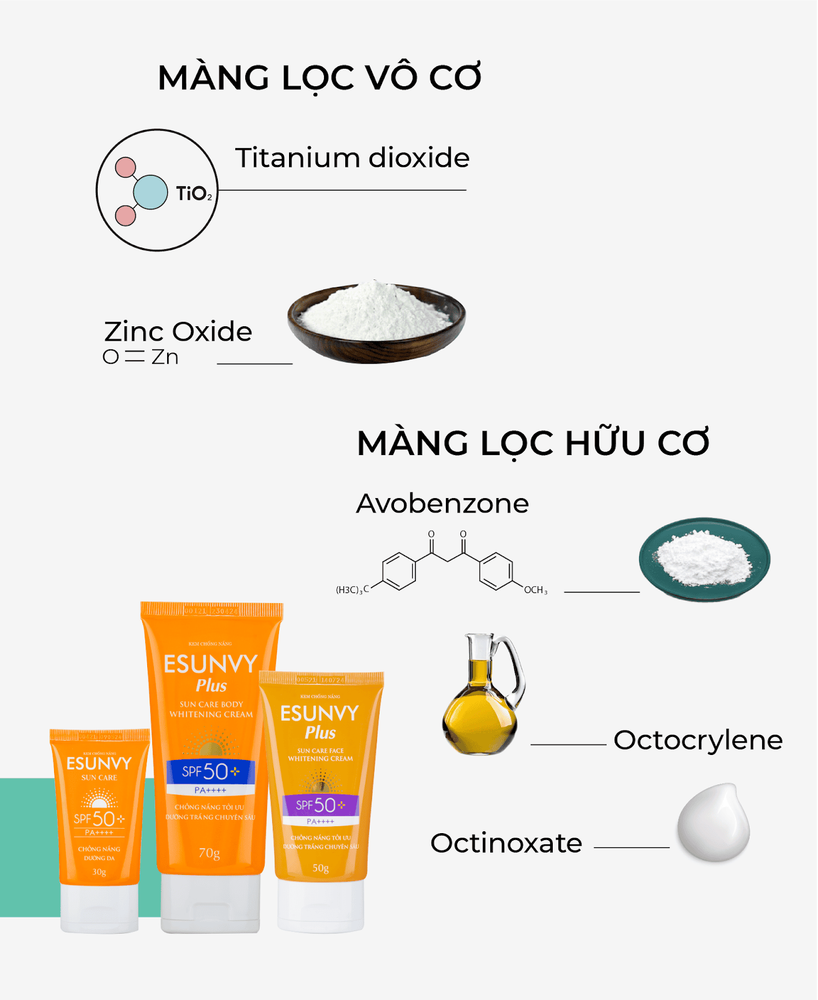 
Thành phần kem chống nắng Esunvy Plus Sun care
