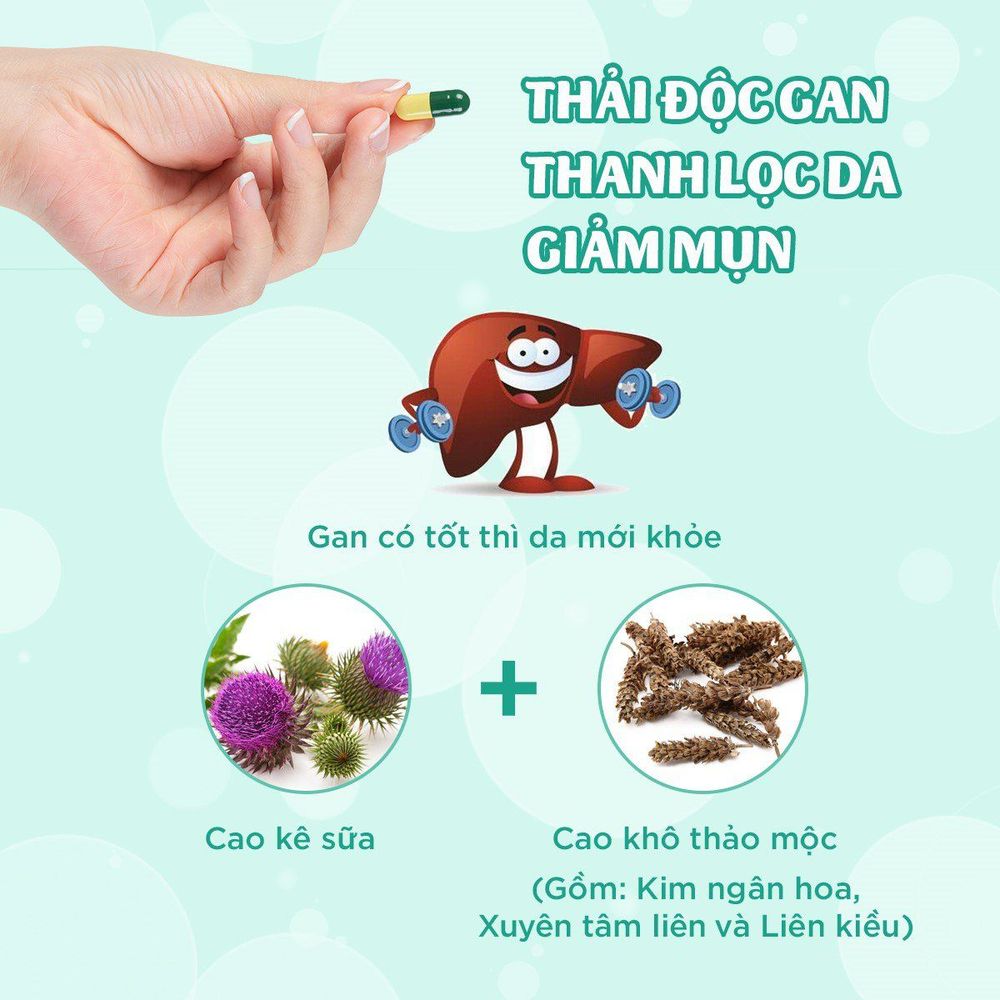 
Thải độc gan thanh lọc da giúp giảm mụn sâu
