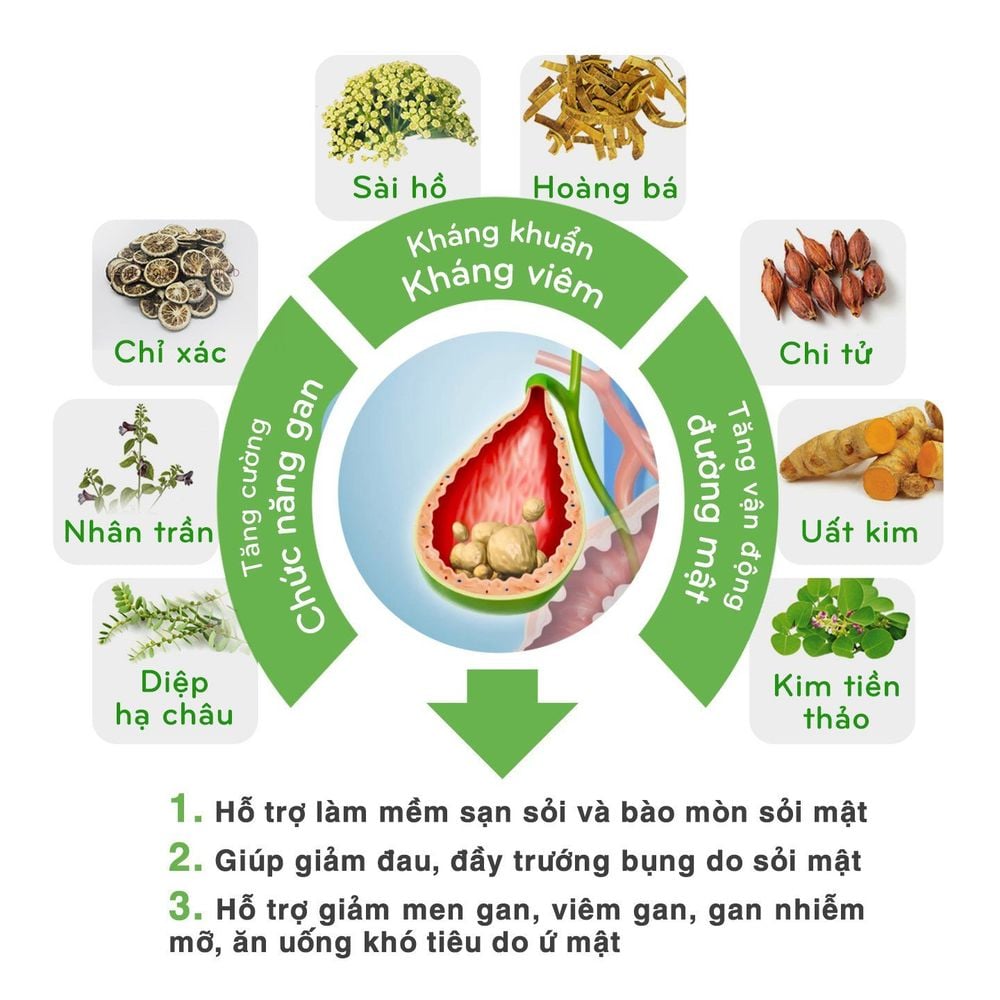 
8 thảo dược quý là giải pháp giúp tan sỏi mật hiệu quả, an toàn
