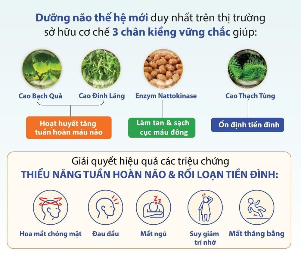 
Dưỡng Não Thái Minh là dòng dưỡng não thế hệ mới kết hợp 4 loại dược liệu quý
