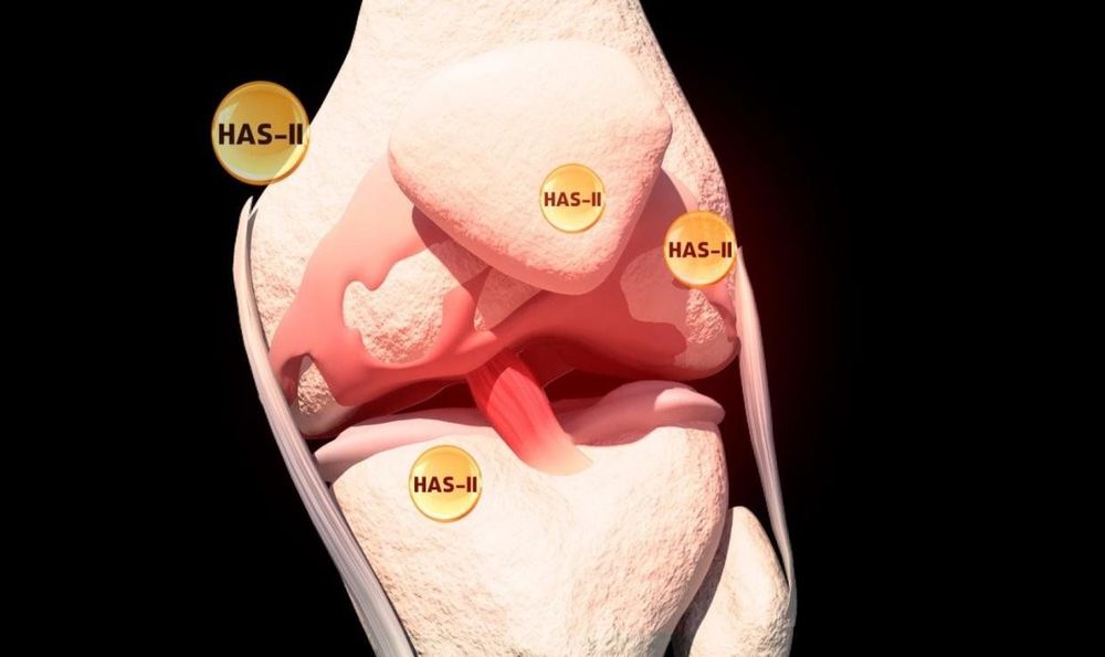 
Các nghiên cứu cho thấy HAS II có khả năng thúc đẩy cơ thể tự sản sinh Acid Hyaluronic
