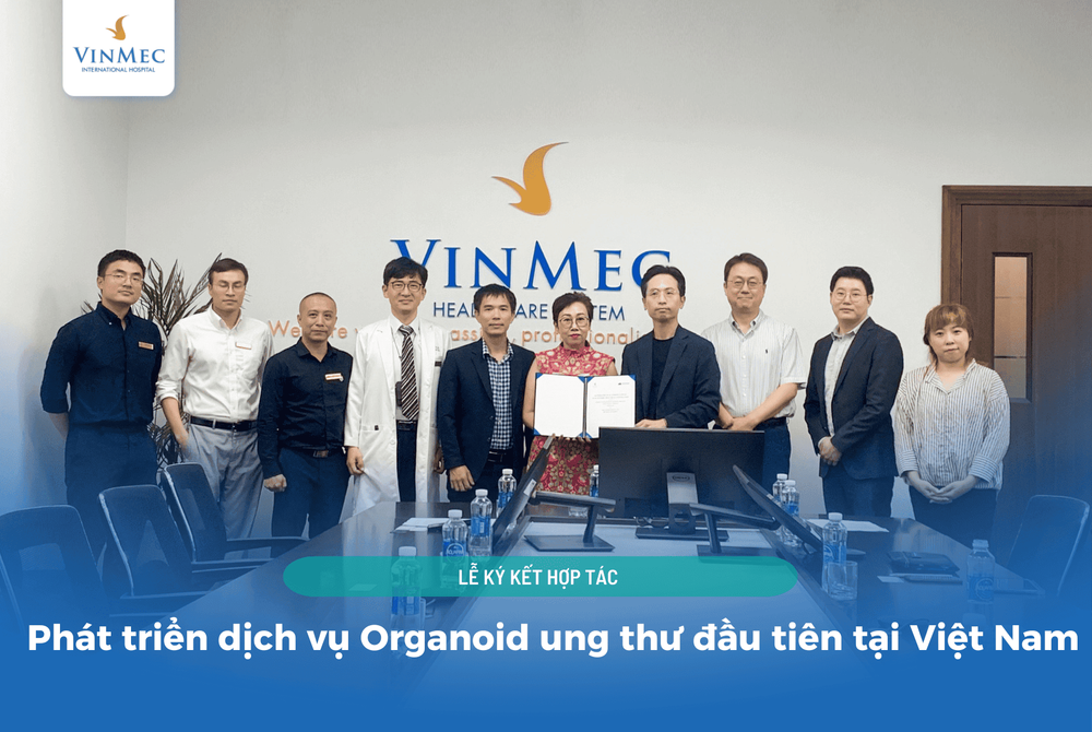 
Bà Lê Thúy Anh – Tổng Giám đốc Hệ thống Y tế Vinmec và Ông Yoo Jongman – Tổng giám đốc công ty Organoid Sciences đại diện 2 bên ký kết thỏa thuận hợp tác.
