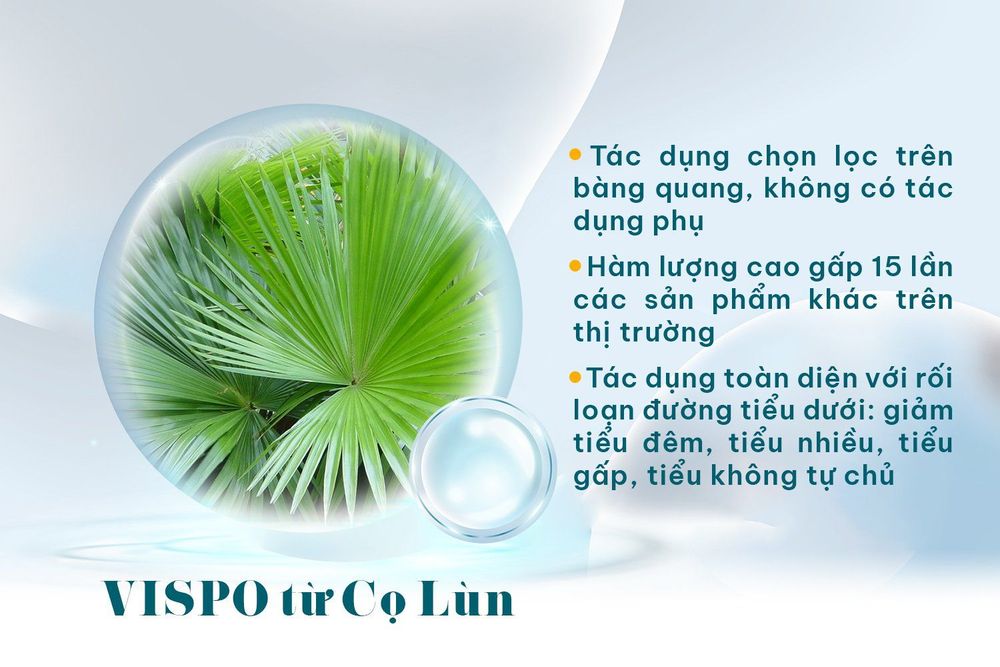 Hướng dẫn cải thiện hội chứng bàng quang tăng hoạt an toàn, hiệu quả