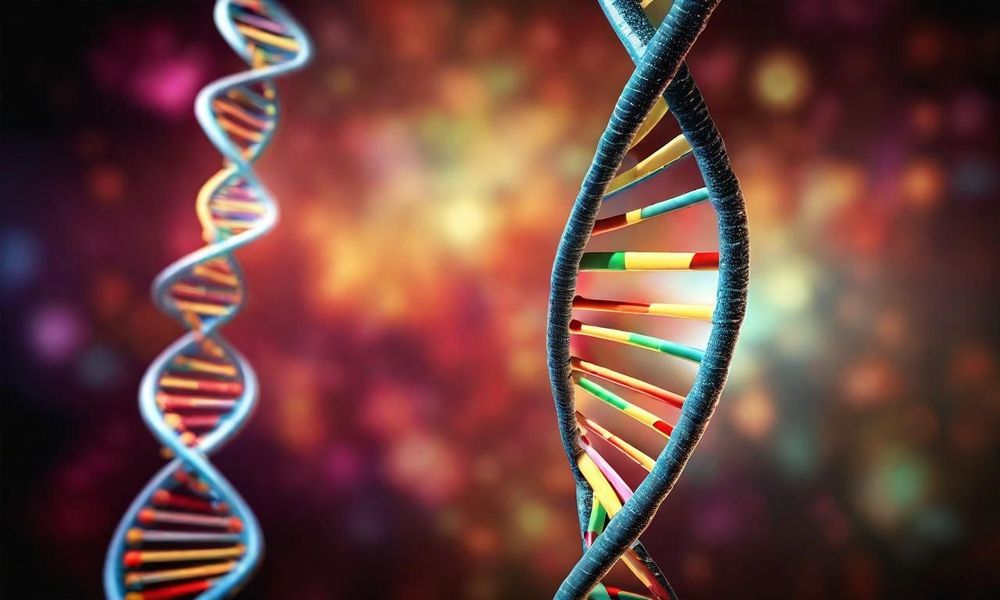 Hậu quả của đột biến gen gây ảnh hưởng đến từng phần tử đơn lẻ của DNA hoặc một vài cặp gen.