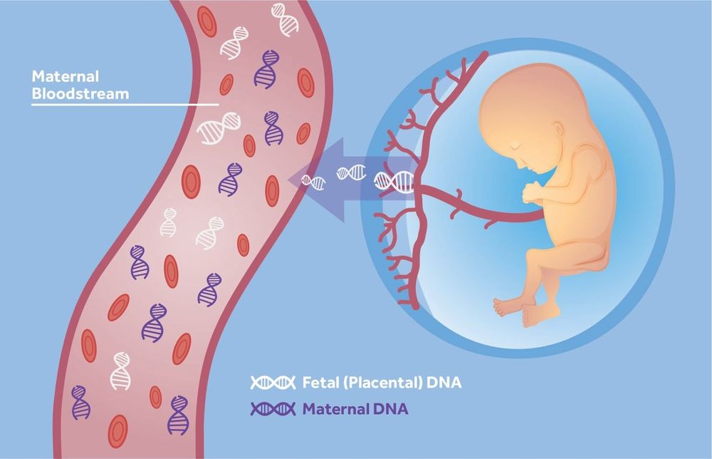 Các chuyên gia khuyến cáo thai phụ nên xét nghiệm NIPT để phát hiện các bất thường