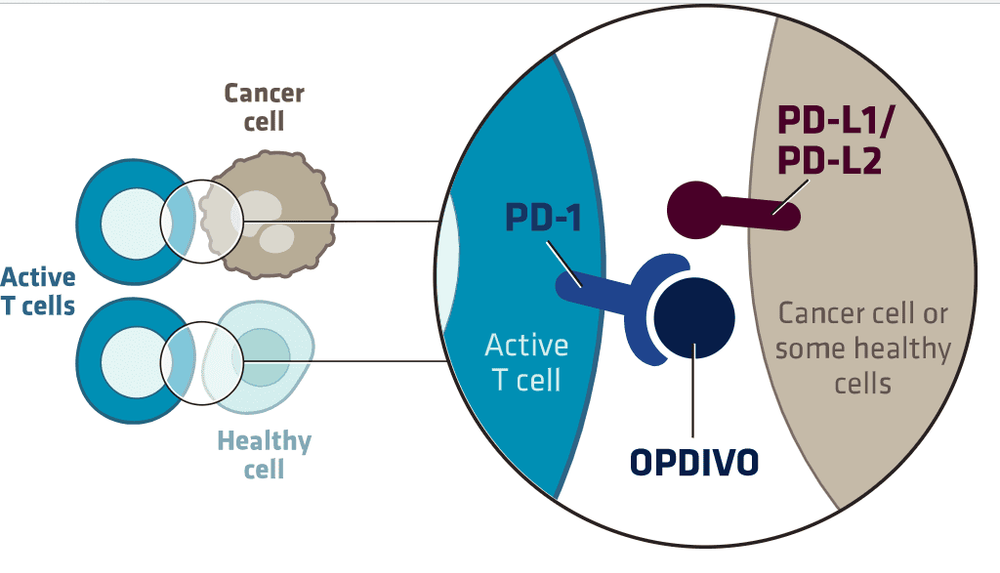 Thuốc Nivolumab: Công dụng và cách dùng trong điều trị ung thư