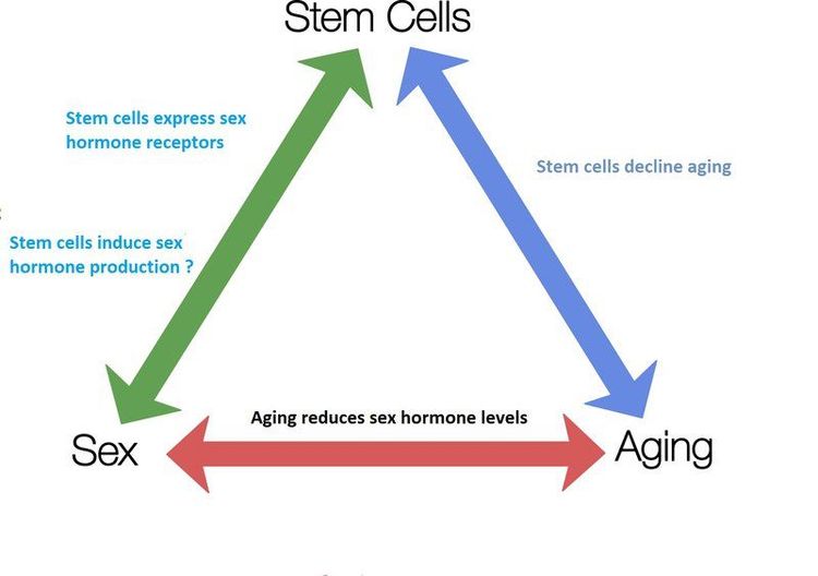 Evaluation of autologous adipose-derived mesenchymal stem cells (AD-MSCs) therapy on sexual hormone deficiency in the middle-aged patients: an open-label, single-group clinical trial