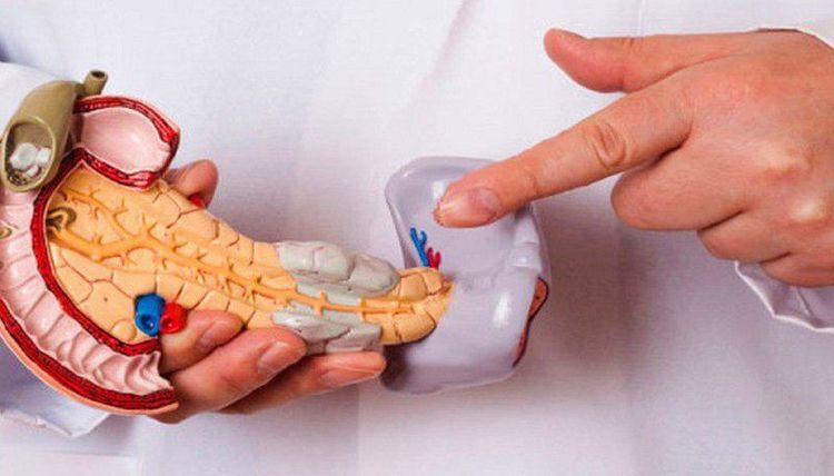 Ung thư tuyến tụy bắt đầu từ tuyến tụy, một cơ quan nằm sâu trong ổ bụng phía sau dạ dày