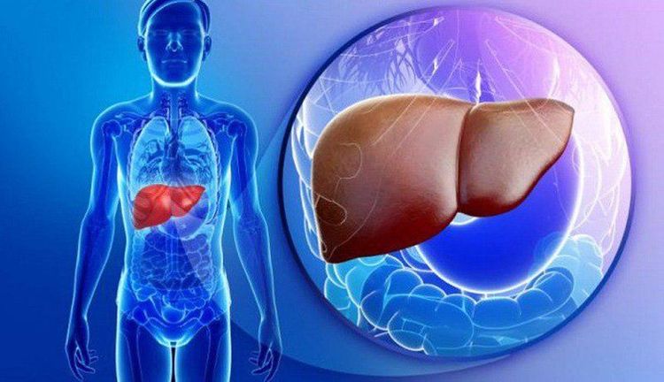 Hepatocellular cancer: the most basic things you should know