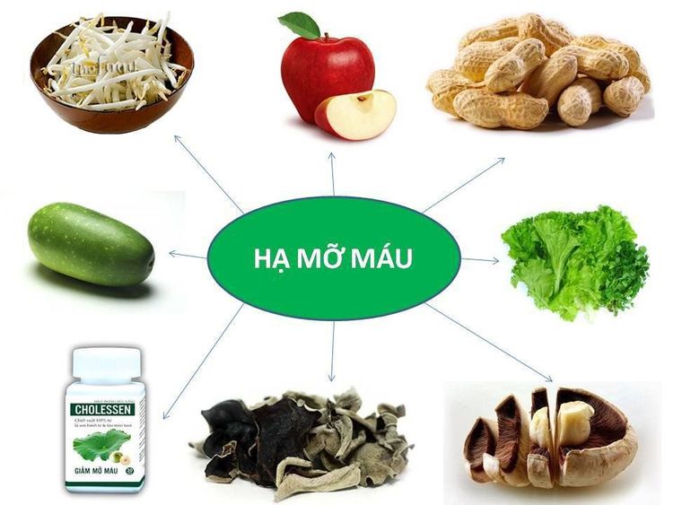 
Các giải pháp hạ lượng mỡ máu tăng cao
