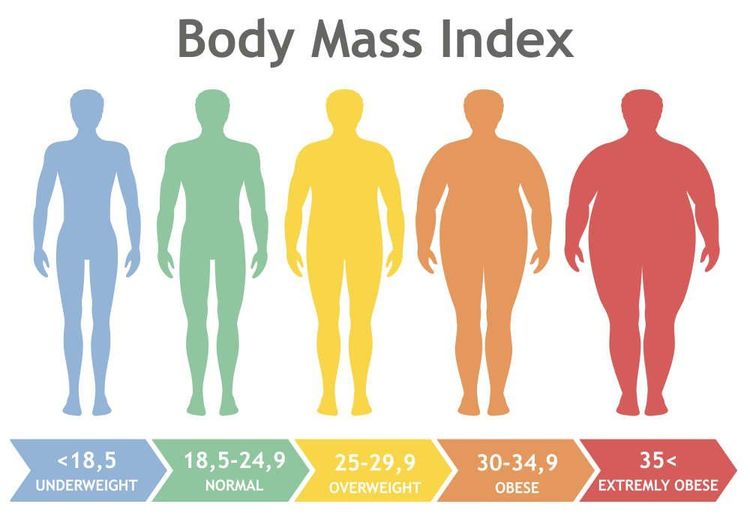  Cri số BMI giúp nhận định mức độ gầy béo 