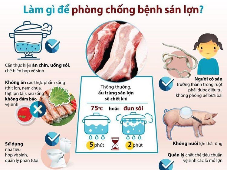 
Phòng chống bệnh sán dây lợn đúng cách
