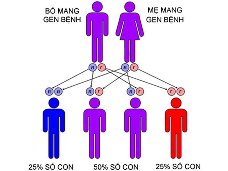 
Xét nghiệm thể mang là một loại xét nghiệm di truyền
