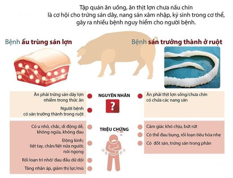 
Ăn thịt lợn nhiễm bệnh, chưa nấu chín có thể gây nguy hiểm cho người
