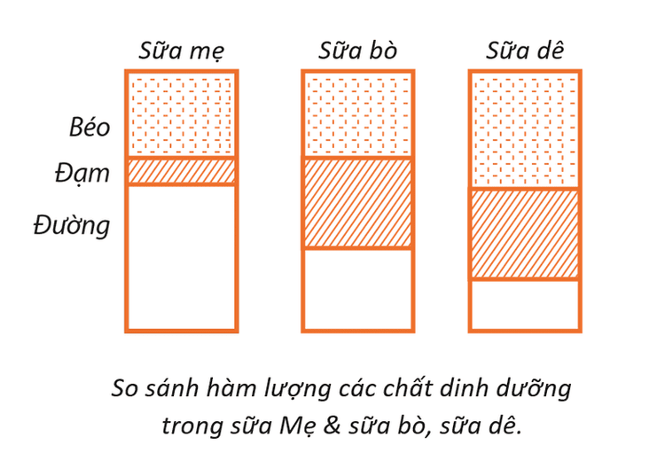 
Sữa mẹ là thức ăn hoàn chỉnh nhất, thích hợp nhất đối với trẻ.
