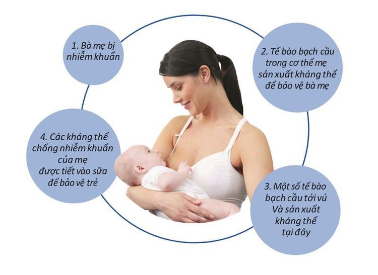 
Nuôi con bằng sữa mẹ sẽ giúp trẻ chỗng nhiễm khuẩn.
