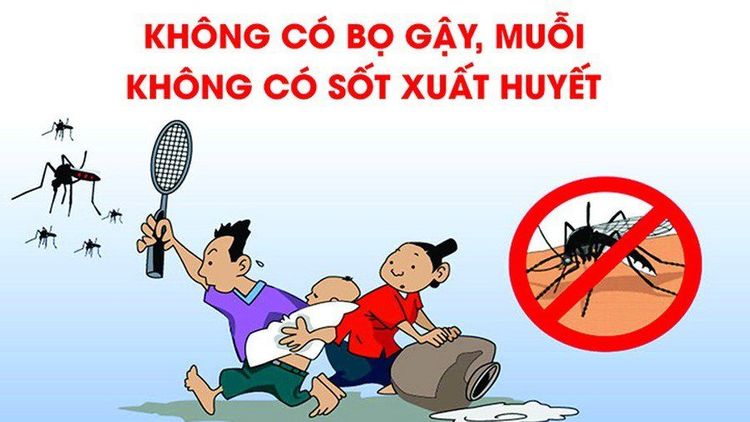 
Các biện pháp phòng chống muỗi
