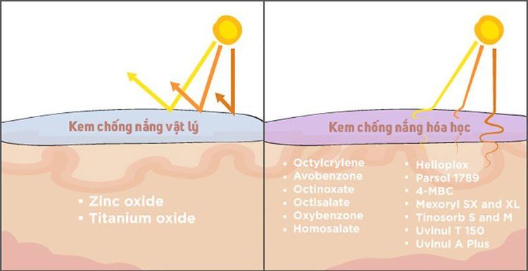 
Cơ chế, thành phần của kem chống nắng vật lý và hóa học
