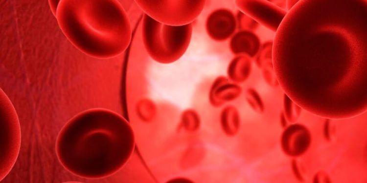 Beta thalassemia là một rối loạn máu di truyền có thể điều trị được