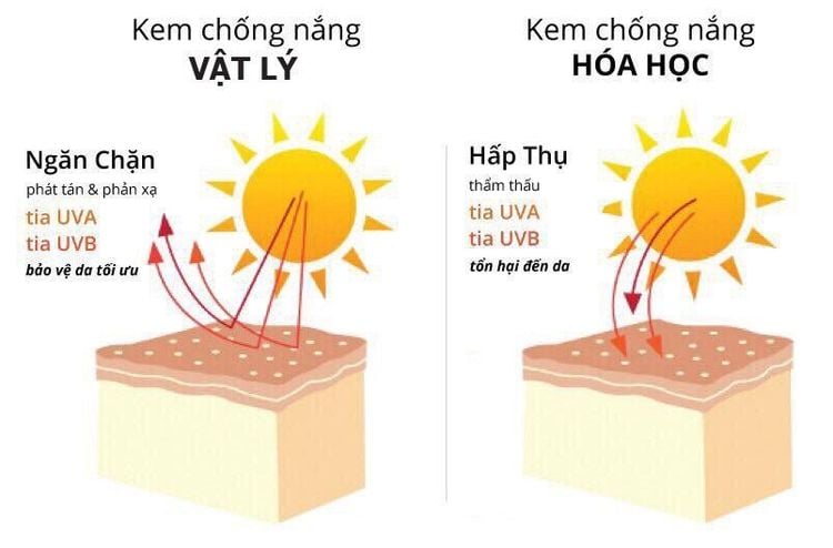 
Kem chống nắng vật lý thường được sử dụng sau bước dưỡng da và trang điểm
