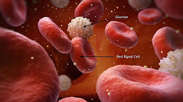 
Glucose trong máu giúp chẩn đoán đái tháo đường
