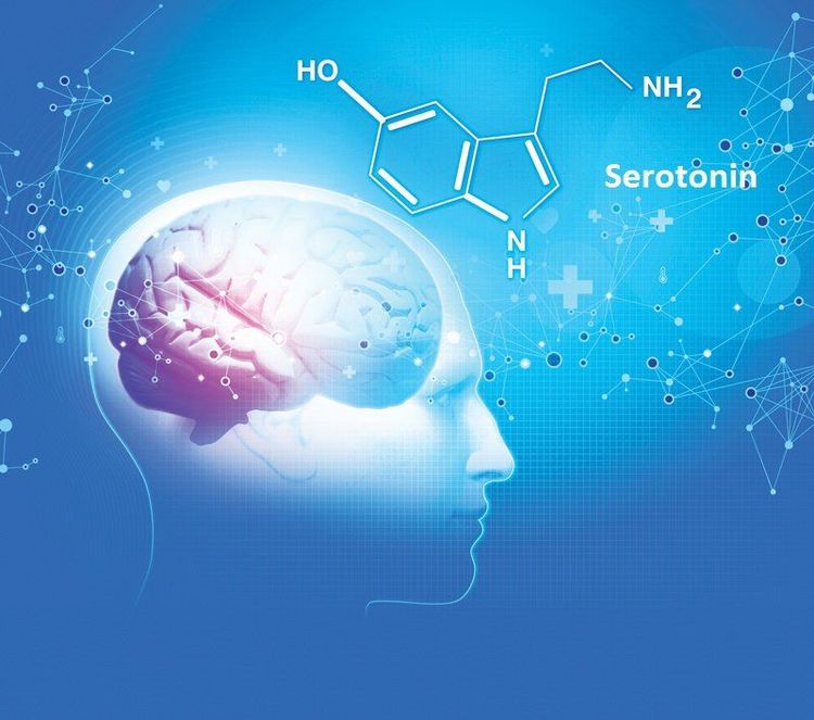 
Serotonin có thể gây ra chứng trầm cảm và lo lắng.
