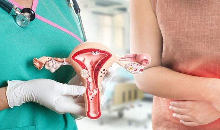 Nội mạc tử cung quá dày hoặc quá mỏng đều ảnh hưởng không tốt đến khả năng thụ thai