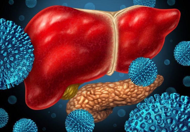 
Virus viêm gan B, viêm gan C là một trong những nguyên nhân chính gây ung thư gan
