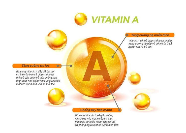 
Vitamin A có nhiều tác dụng đối với cơ thể
