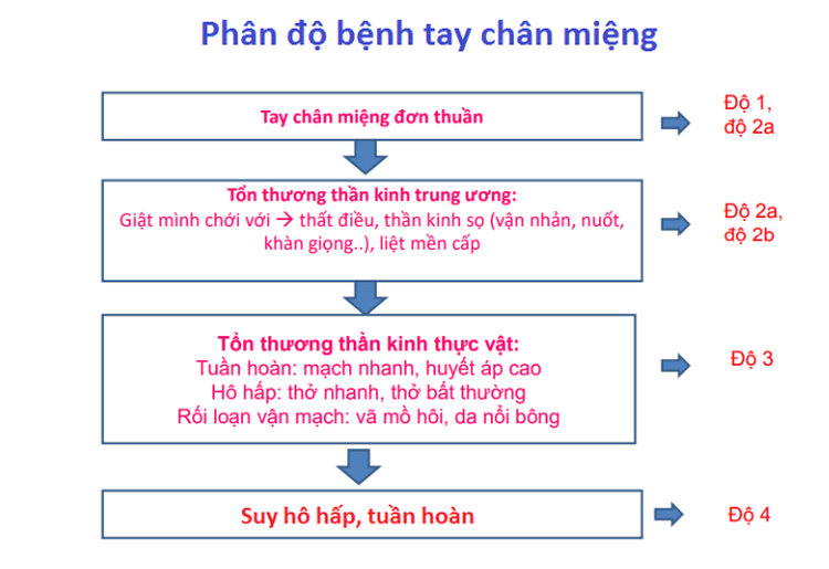 
Phân độ bệnh tay chân miệng
